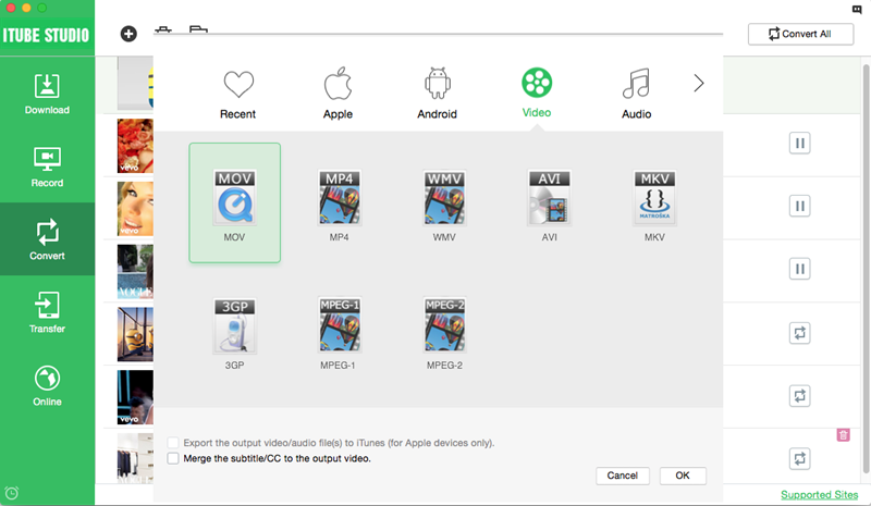 output video format